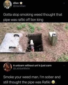 Me thinking a pipe in a hole was Rafiki from The Lion King, even without smoking weed.