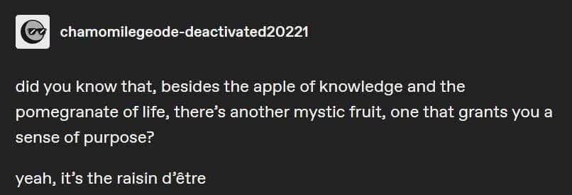 OMG, a pun so good it's existential
