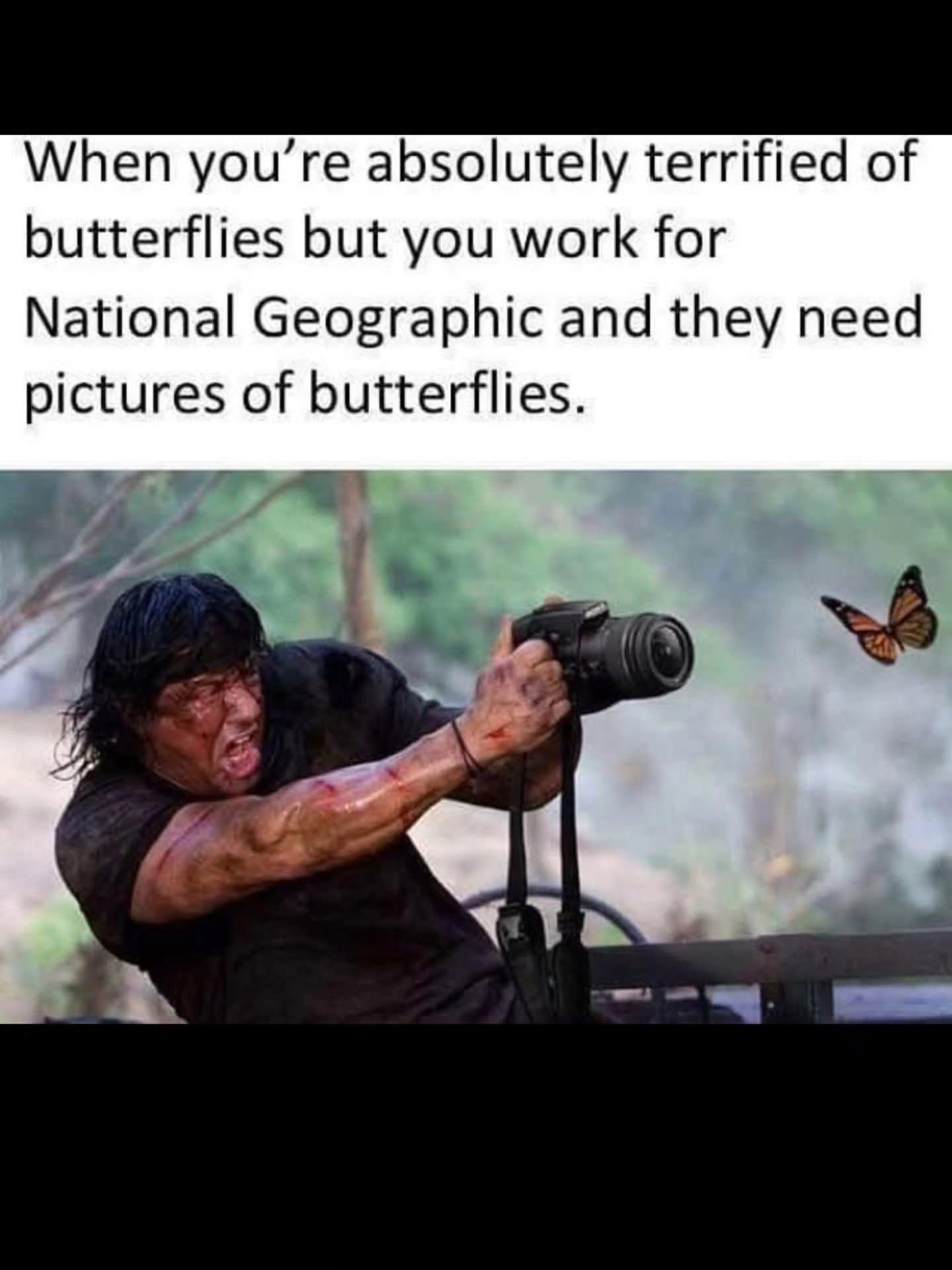 Me trying to do my job when it involves my biggest fear
