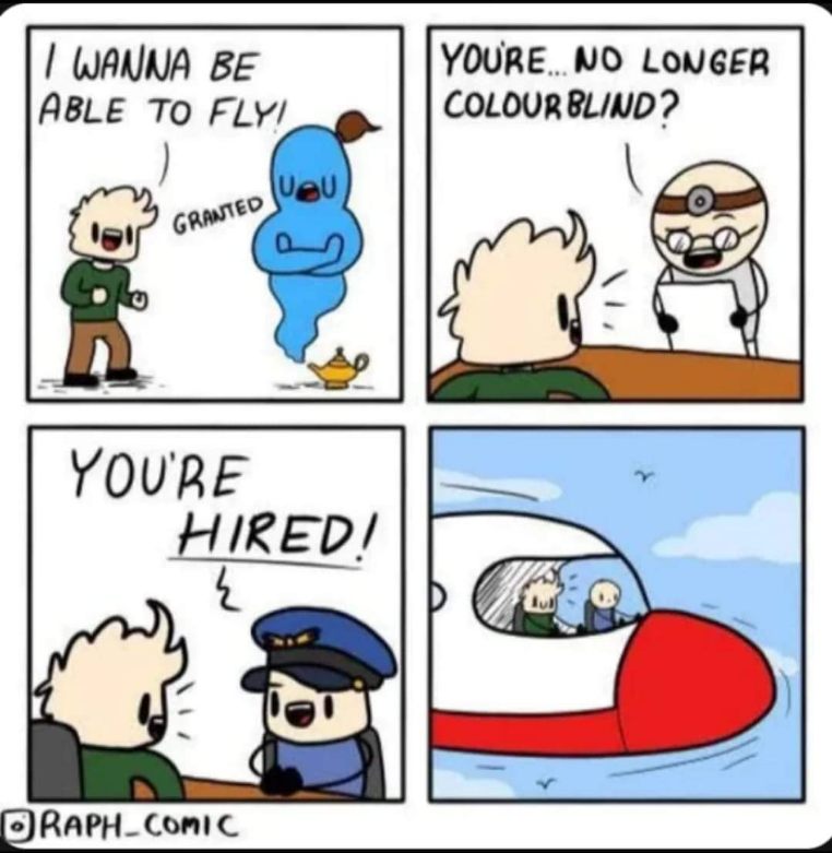 Granted my wish to fly and now I'm a pilot lol
