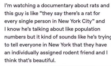 Lmfao imagining everyone in NYC having their own personal rat buddy.