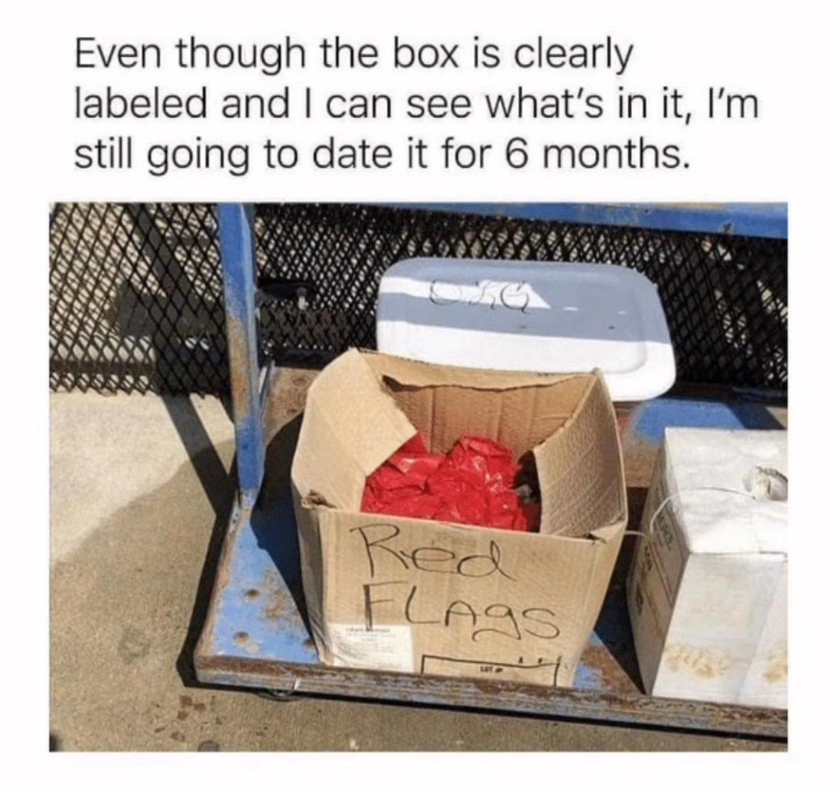 Me ignoring all the obvious red flags in a new relationship