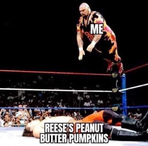 My brain at 2 am remembering Reese's Peanut Butter Pumpkins exist