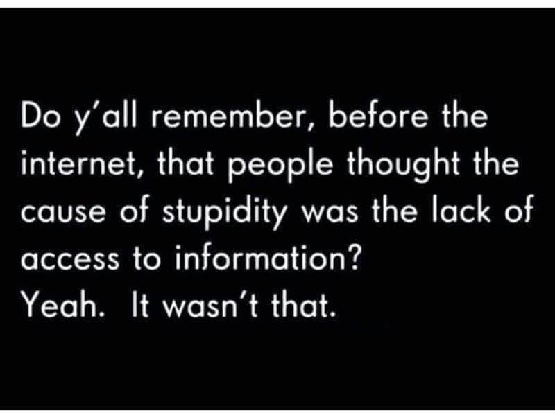 Remember when we thought more internet would make people smarter? Turns out, that wasn't the problem.