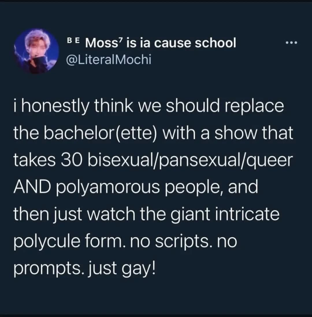 This person wants to replace The Bachelor with a show featuring 30 queer, polyamorous people just to see the chaos.
