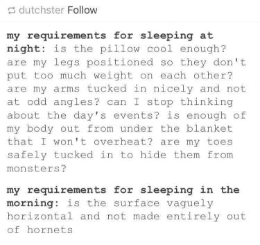 Me needing 100 conditions to sleep at night vs. just needing not to be in a hornet nest to sleep in the morning.