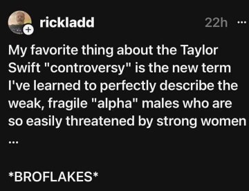 Apparently Taylor Swift fans call insecure men 'broflakes' and I'm living for it