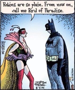 Robin's done being plain and wants to be called 'Bird of Paradise' now, and Batman's just standing there like..?