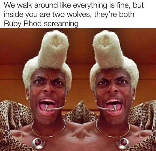 Me pretending to be fine when inside I'm two Ruby Rhods screaming