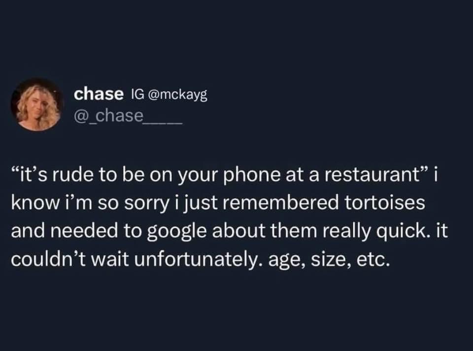 When you're out to eat but suddenly remember a crucial tortoise fact you need to Google immediately.