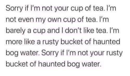 This is what happens when you try to be polite but you're actually just a rusty bucket of haunted bog water.