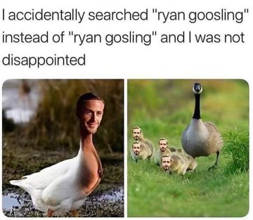 When you search for Ryan Gosling but accidentally type Ryan Goosling and get this masterpiece instead