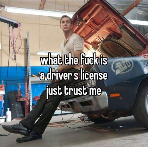 When you need a driver's license but just feel like winging it