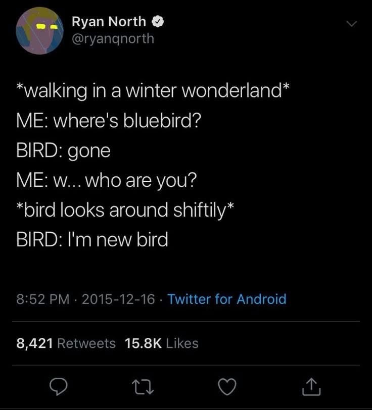 When you're walking in a winter wonderland and the bird you meet is just tryna play it cool