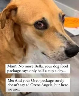 When your mom calls you out for breaking diet rules but you call her out right back lol