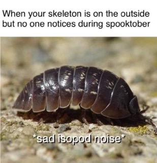 Me trying to embrace Spooktober but no one can see my 'skeleton' (aka me being an armadillo roly-poly) lol
