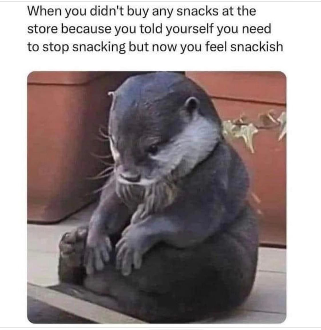 Story of my life: trying to be good but ending up snackish.