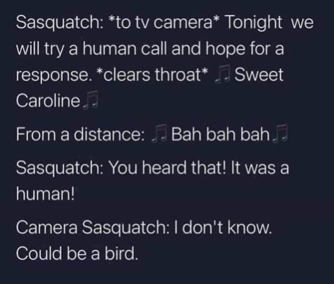When you try to communicate with humans but they think you're a bird singing Sweet Caroline