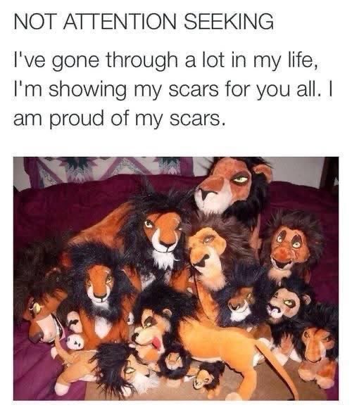 When you're trying to be brave but you just look like a bunch of Scar plushies