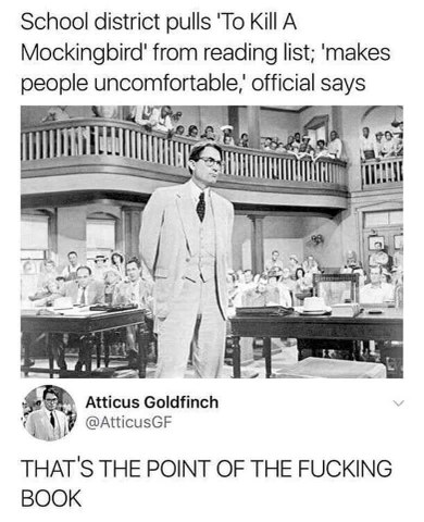 Bruh, pulling a book about racism because it makes people uncomfortable is literally the plot of the book.