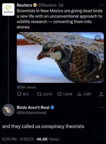 So apparently scientists *are* turning dead birds into drones and 'Birds Aren't Real' was right all along?