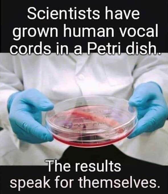 Scientists grew vocal cords in a Petri dish and the results are deafening