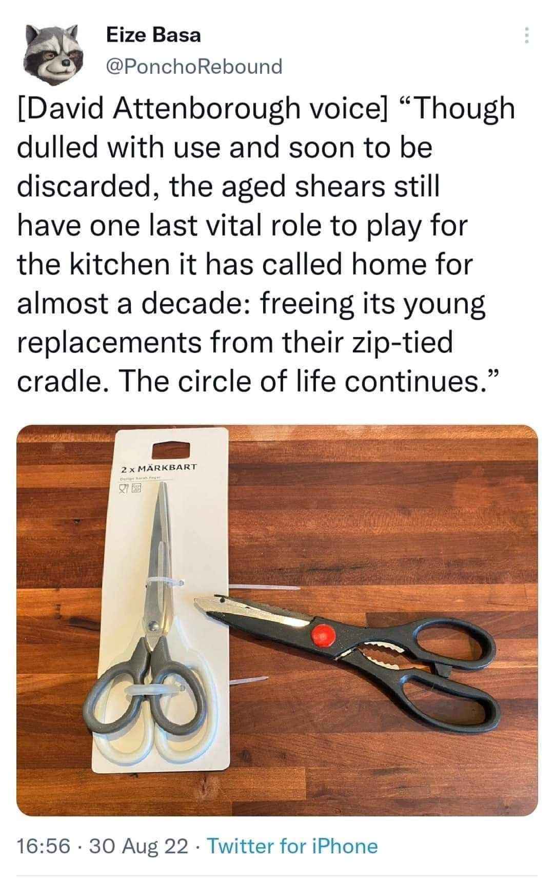OMG, the old scissors freeing the new ones from their zip ties like 'I've done my part, now go forth!'