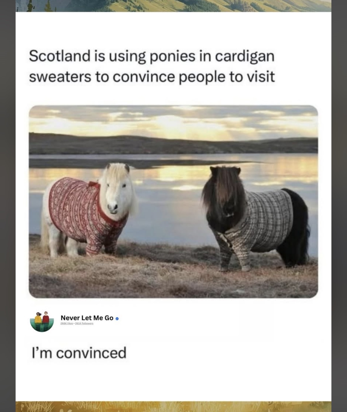Okay Scotland, I'm sold. Ponies in sweaters is genius marketing.