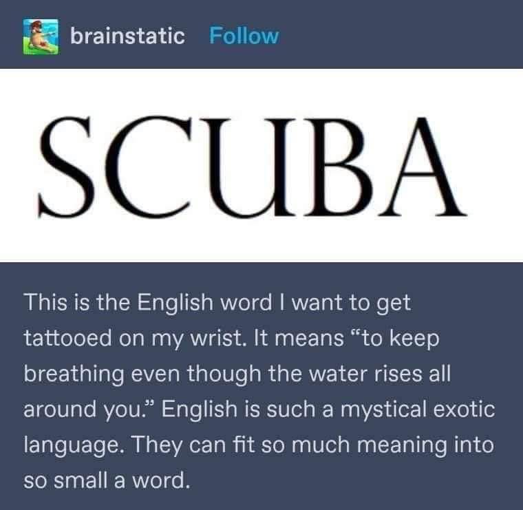 Apparently 'SCUBA' means to keep breathing when the water is rising, which, like, woah.