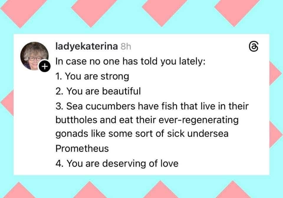 Thought I was getting a pep talk but then it turned into a biology lesson about sea cucumbers