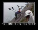 Seagulls are coming for you and they are NOT playing around.