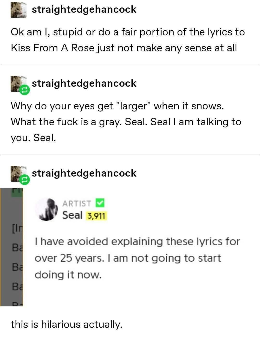 When the artist of a song won't explain the lyrics after 25 years because they don't make sense.