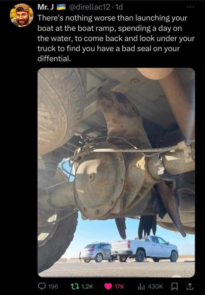 When you go to check your differential and find a literal seal chilling there