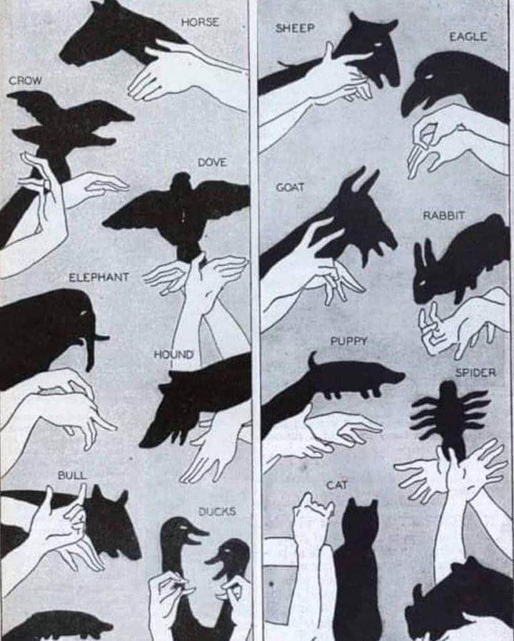 Me trying to impress my date by showing off my shadow puppet skills but only knowing how to make animals.