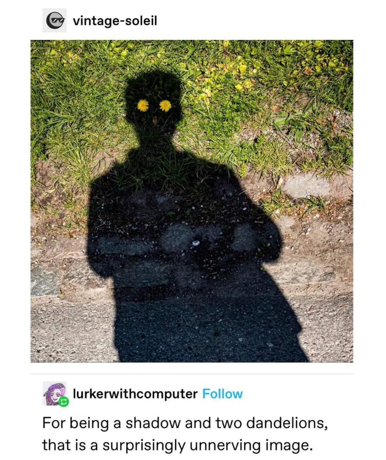 This shadow looks like its judging you way too hard. And why are its eyes dandelions?