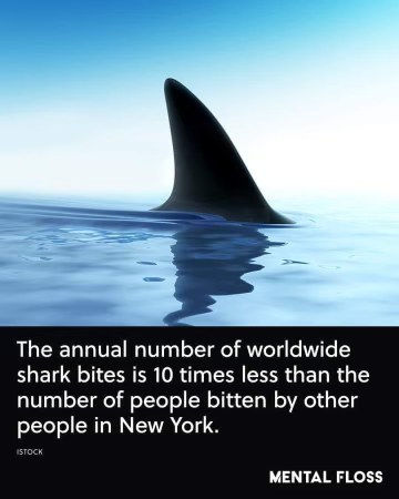 So like, New Yorkers are scarier than sharks??