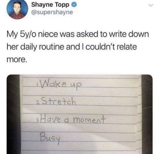 My niece's daily routine is basically my life plan
