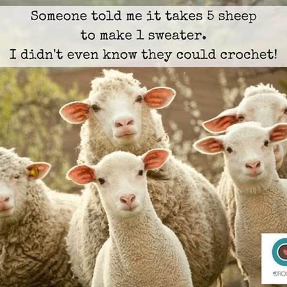 Omg I didn't know sheep could crochet either, this is hilarious