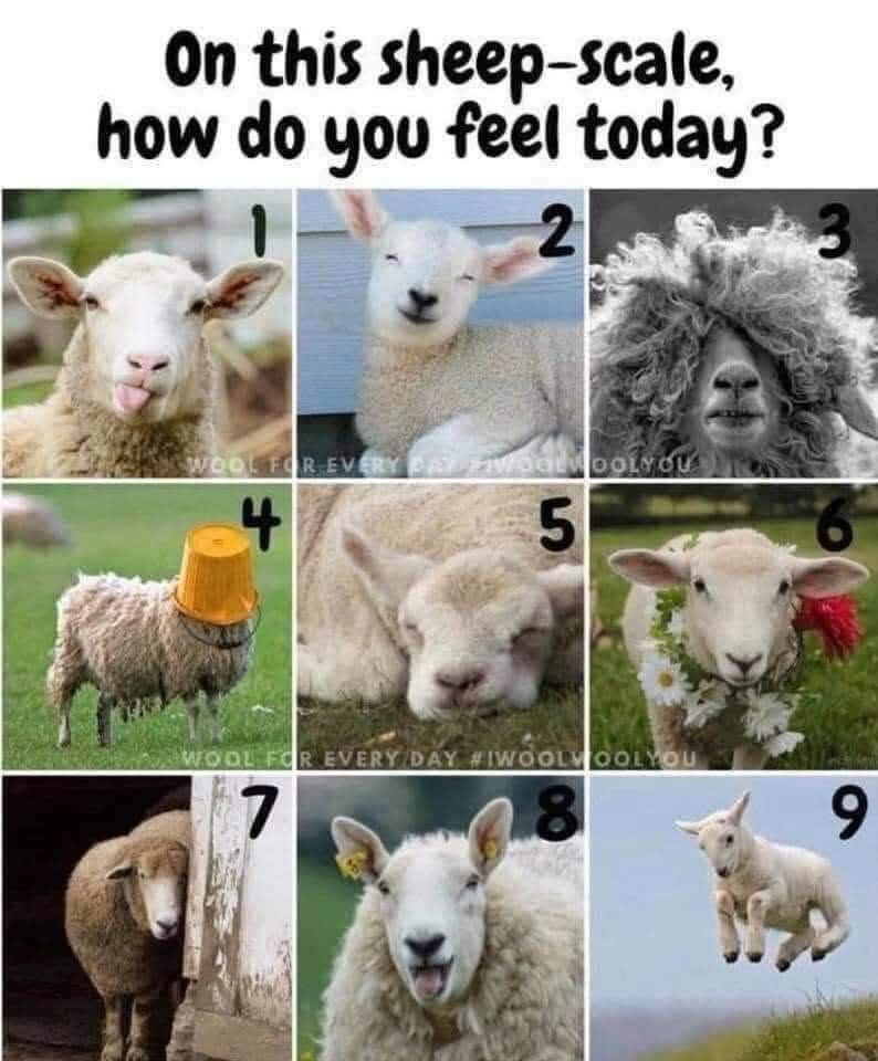 Picking my mood based on how I want to appear to others today
