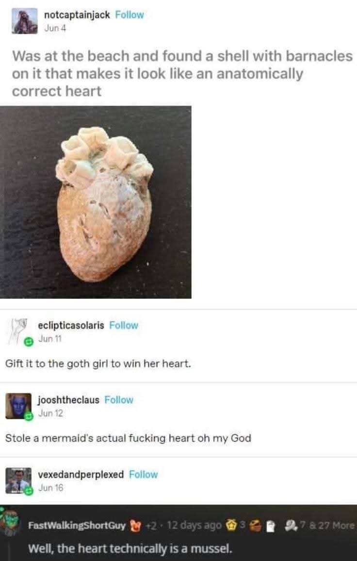 When you find a shell shaped like a heart and someone points out it's technically a mussel.