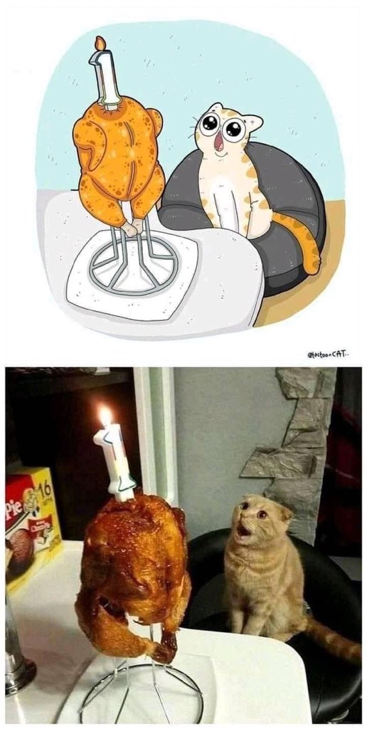 He thought it was a birthday cake but it's just chicken. The betrayal.