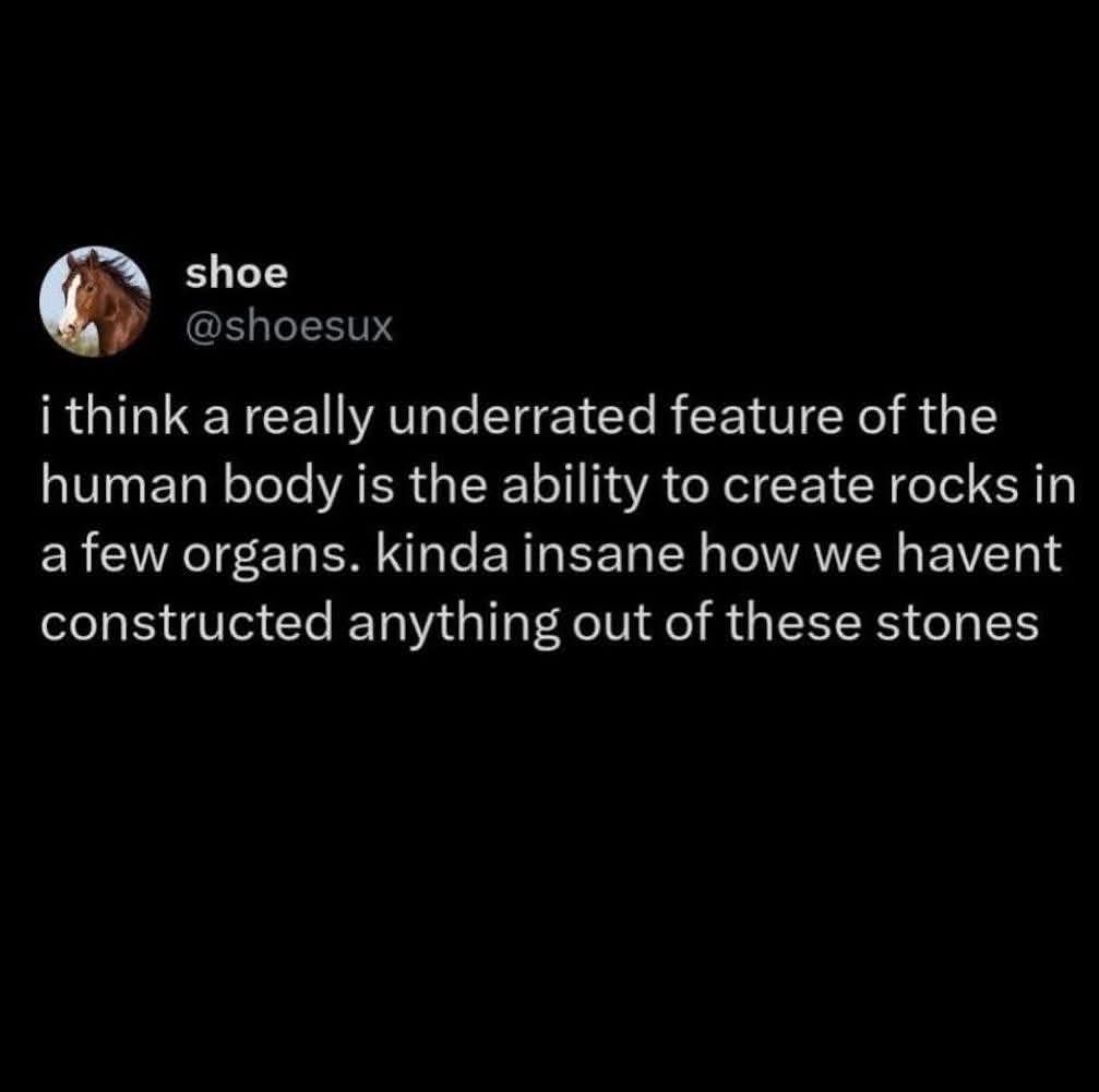lol imagine what we could build if we could harvest our kidney stones