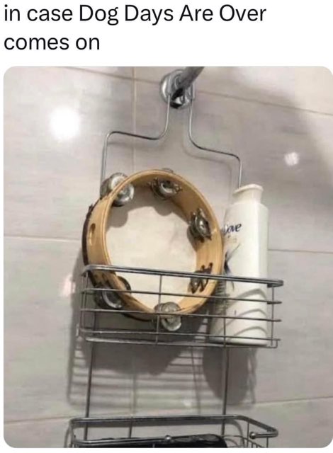 This person is ready to jam out to Florence + The Machine in the shower