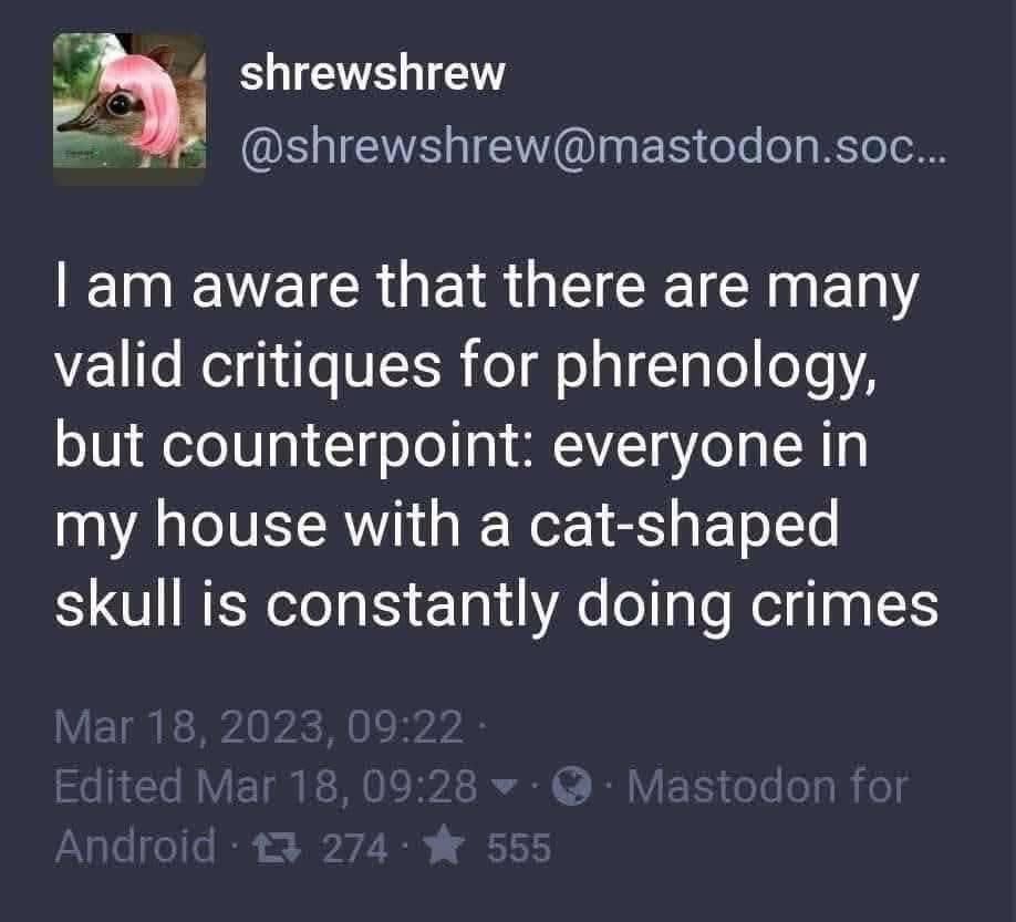 Me blaming my cat's skull shape for its crimes when phrenology is debated