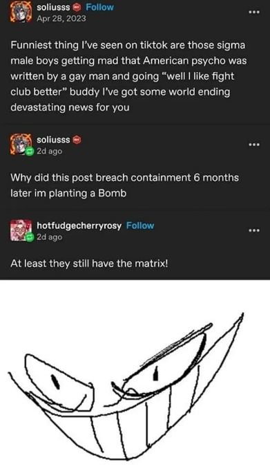 Sigma males mad about American Psycho being written by a gay man, meanwhile the creator of the post is planting a bomb and someone else comments about the matrix