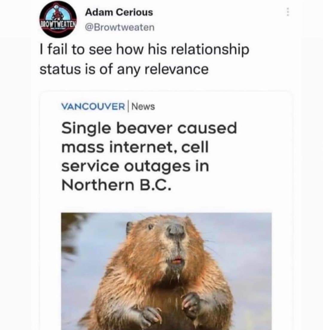 This beaver is out here causing internet outages and they're worried about his relationship status?