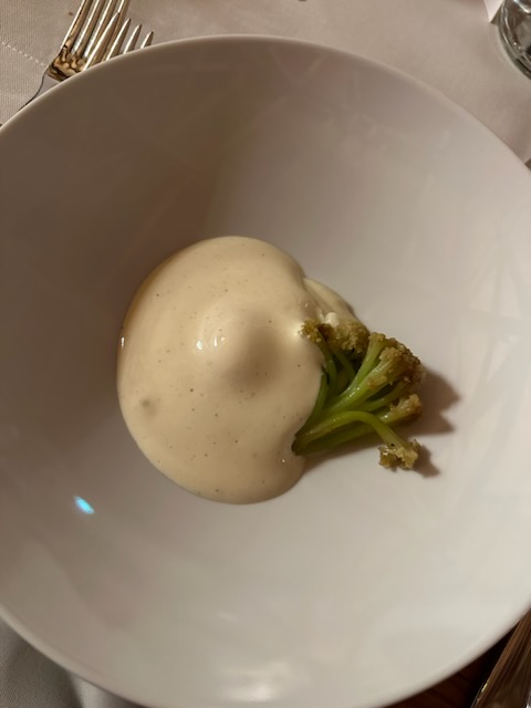 Fancy restaurant be like: here's your single floret of broccoli with some fancy sauce.