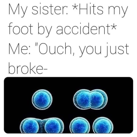 When your sister bumps your foot and you dramatically compare it to cell division.