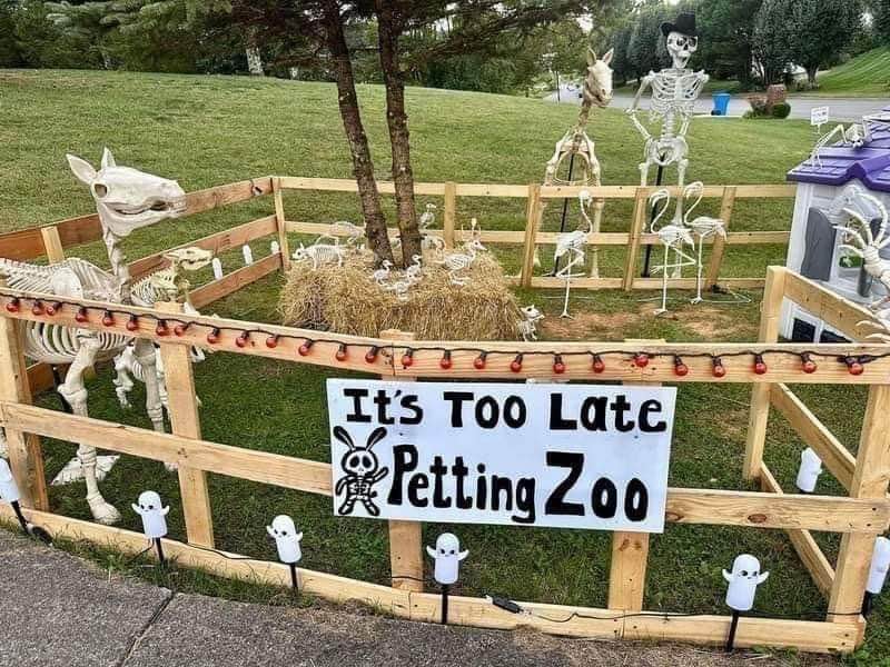 When you set up a petting zoo and realize all your animals are skeletons