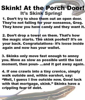 This list of 'rules' for dealing with skinks is absolutely wild haha, especially the part about them fearing debt.